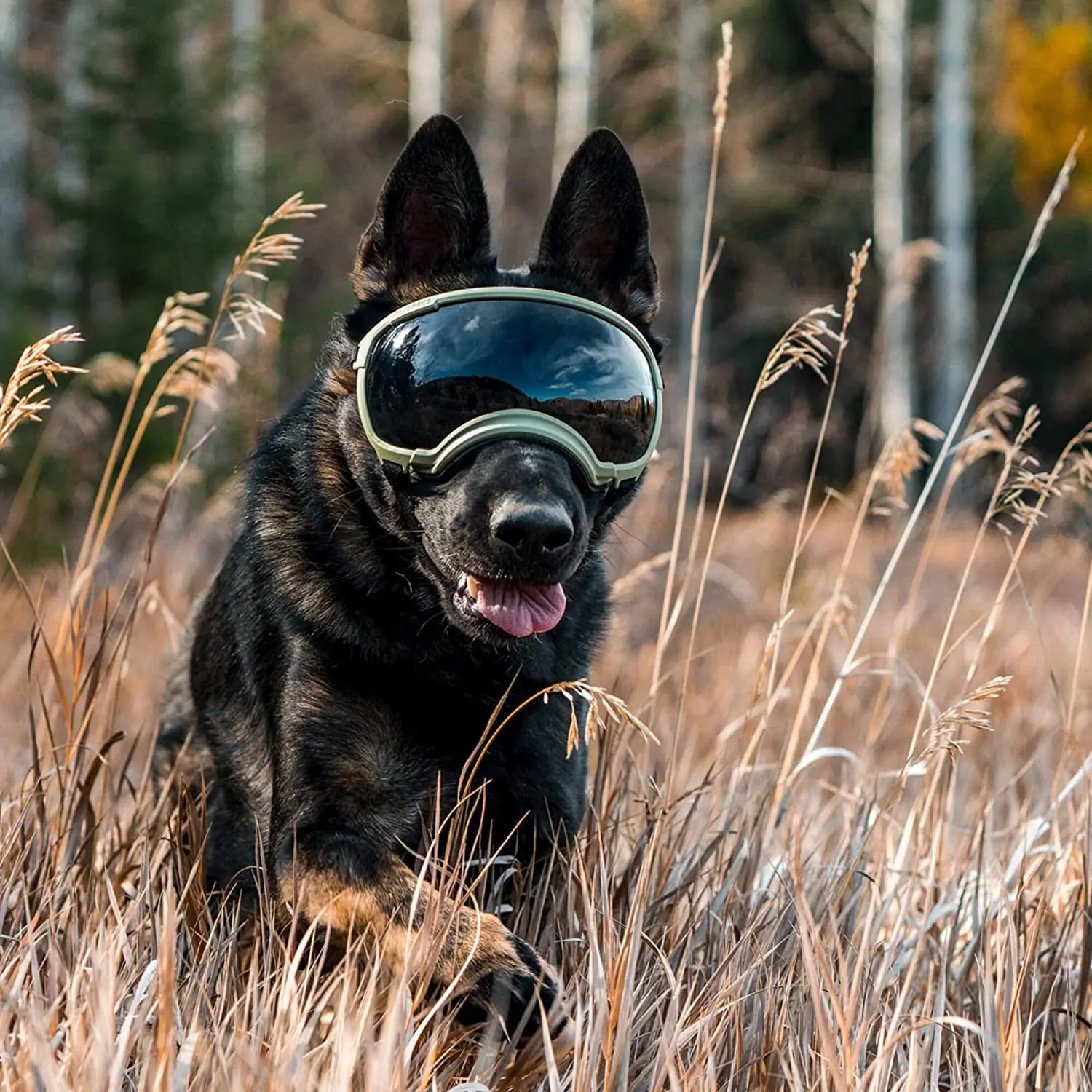 Óculos ATUBAN para Cães – Anti-UV, Resistentes e Ajustáveis