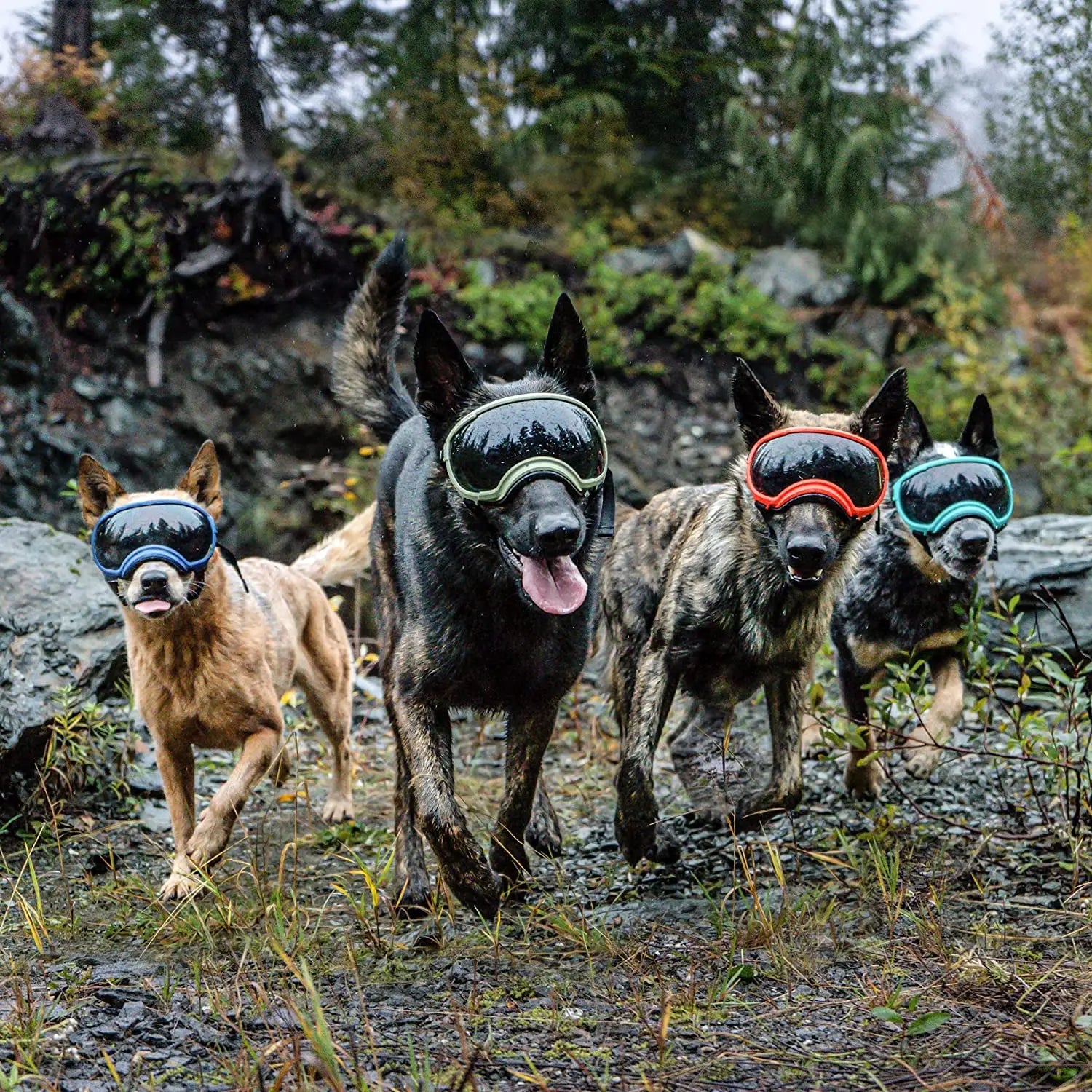 Óculos ATUBAN para Cães – Anti-UV, Resistentes e Ajustáveis