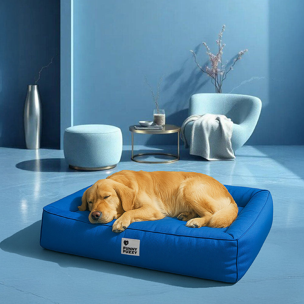 Cama para Pet Fully Ortopédica - A Prova D'Água e Indestrutivel
