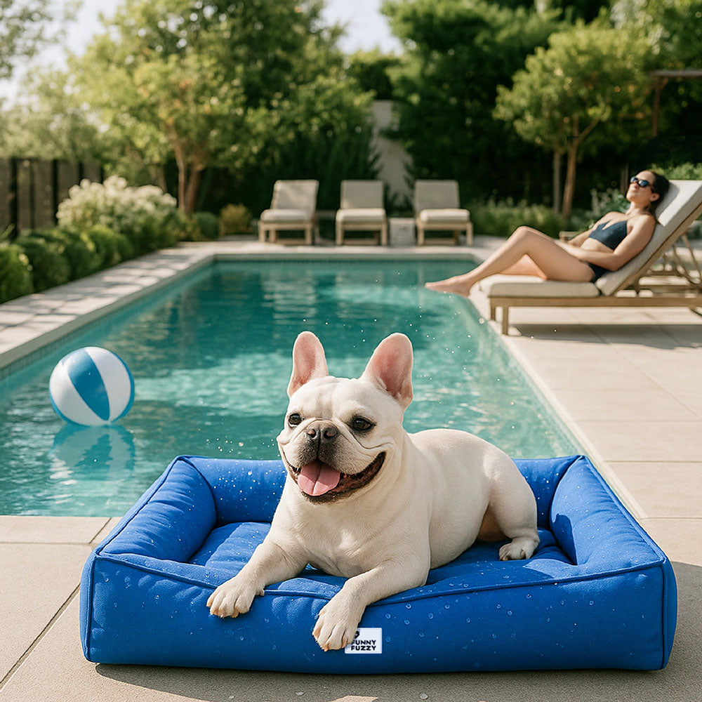 Cama para Pet Fully Ortopédica - A Prova D'Água e Indestrutivel