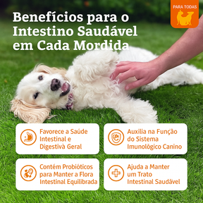 Probiotic Bites™ Para Cães
