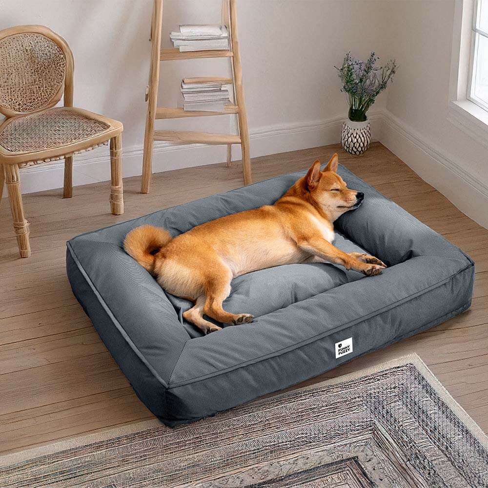 Cama para Pet Fully Ortopédica - A Prova D'Água e Indestrutivel