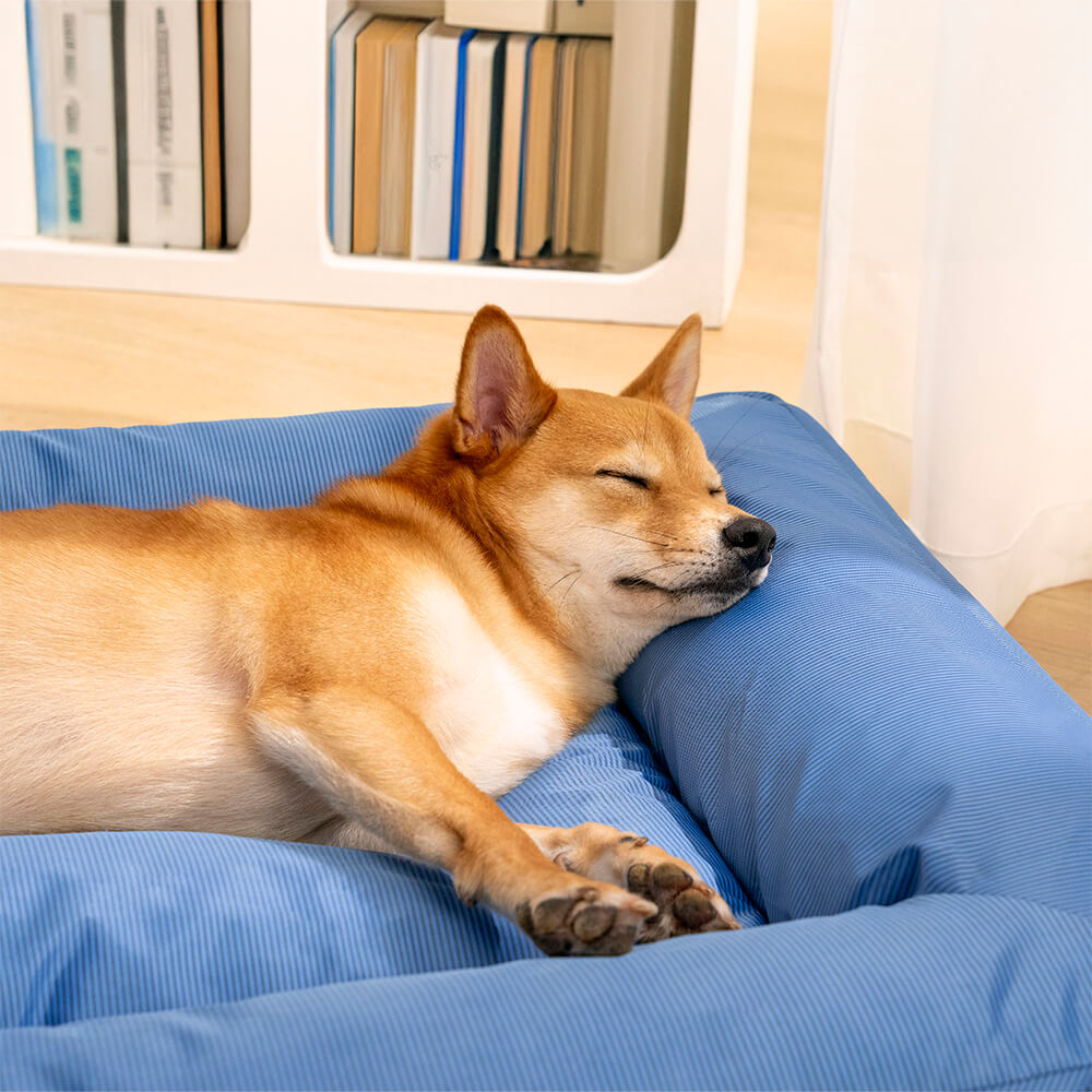Cama para Pet Fully Ortopédica - A Prova D'Água e Indestrutivel