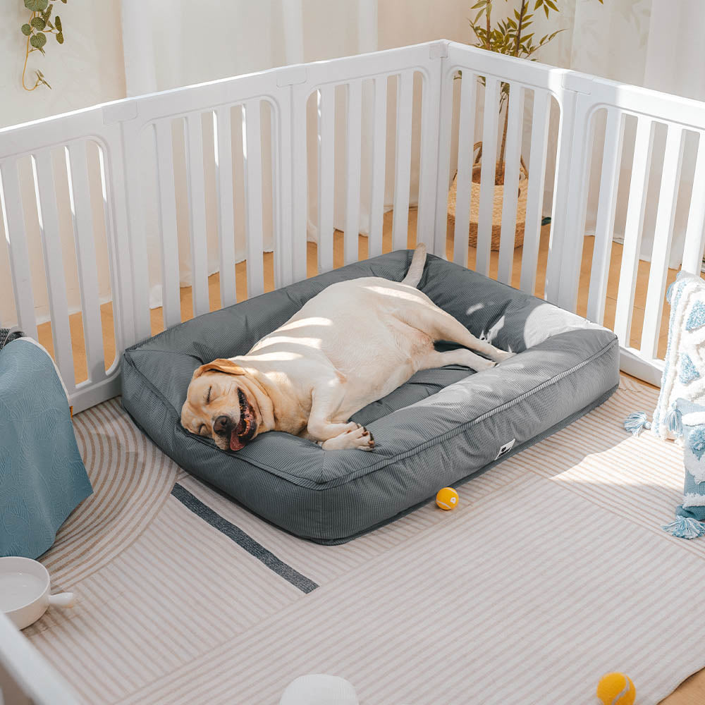 Cama para Pet Fully Ortopédica - A Prova D'Água e Indestrutivel