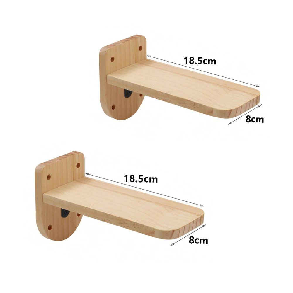 Escada de Parede 50cm para Gatos – Com Rede, Arranhador e Casinha