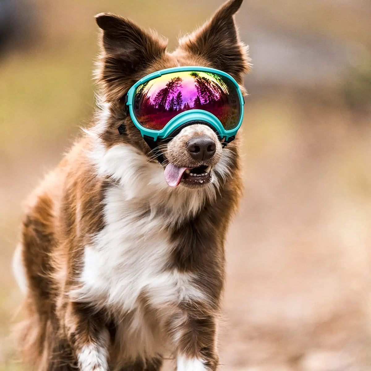 Óculos ATUBAN para Cães – Anti-UV, Resistentes e Ajustáveis