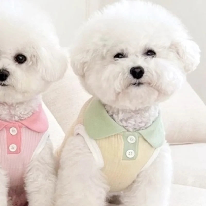 Camiseta Polo de Verão para Pets – Leve, Fashion e Confortável