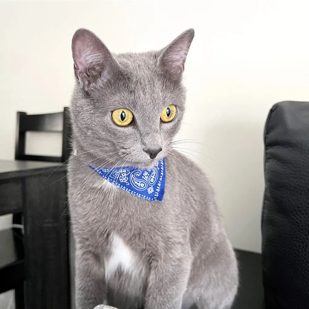 Bandana Ajustável para Pets – Estampa Fofa e Conforto