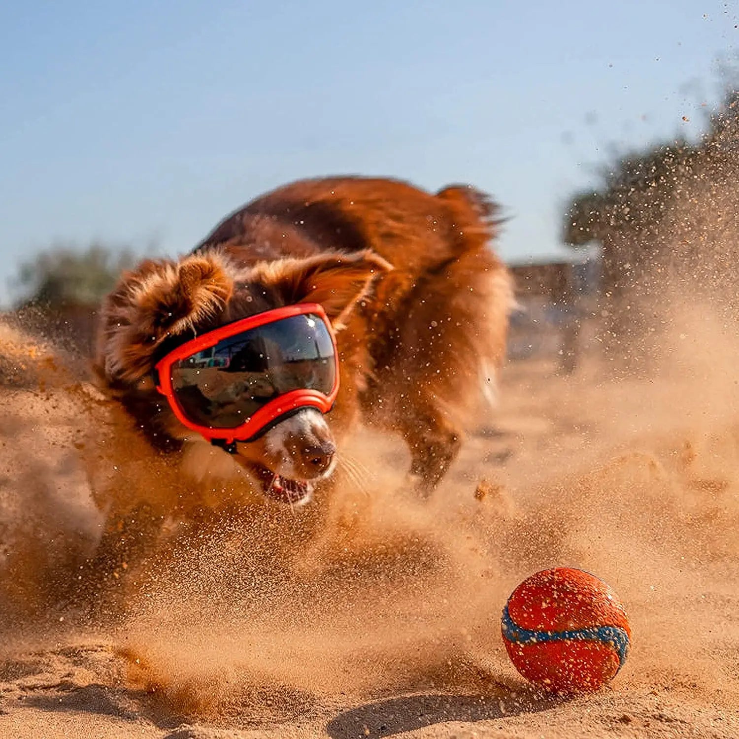Óculos ATUBAN para Cães – Anti-UV, Resistentes e Ajustáveis