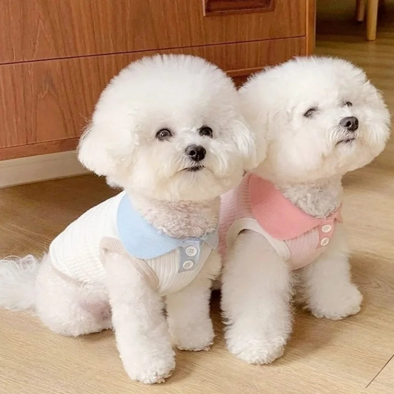 Camiseta Polo de Verão para Pets – Leve, Fashion e Confortável