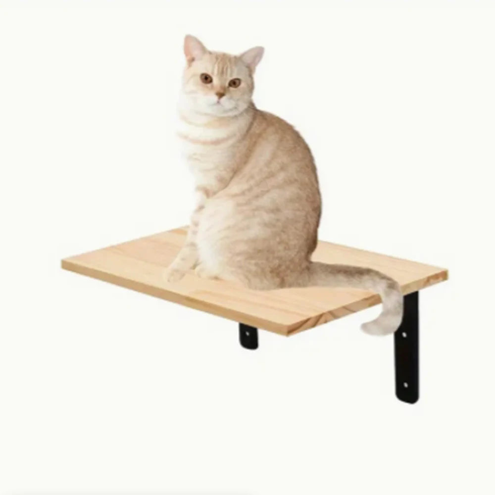 Escada de Parede 50cm para Gatos – Com Rede, Arranhador e Casinha