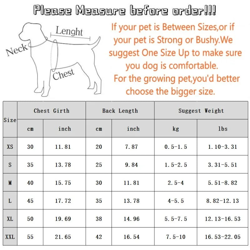 Camiseta Polo de Verão para Pets – Leve, Fashion e Confortável