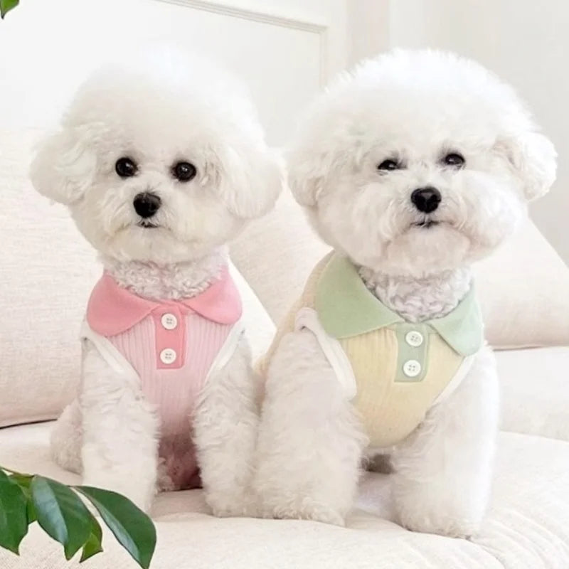 Camiseta Polo de Verão para Pets – Leve, Fashion e Confortável