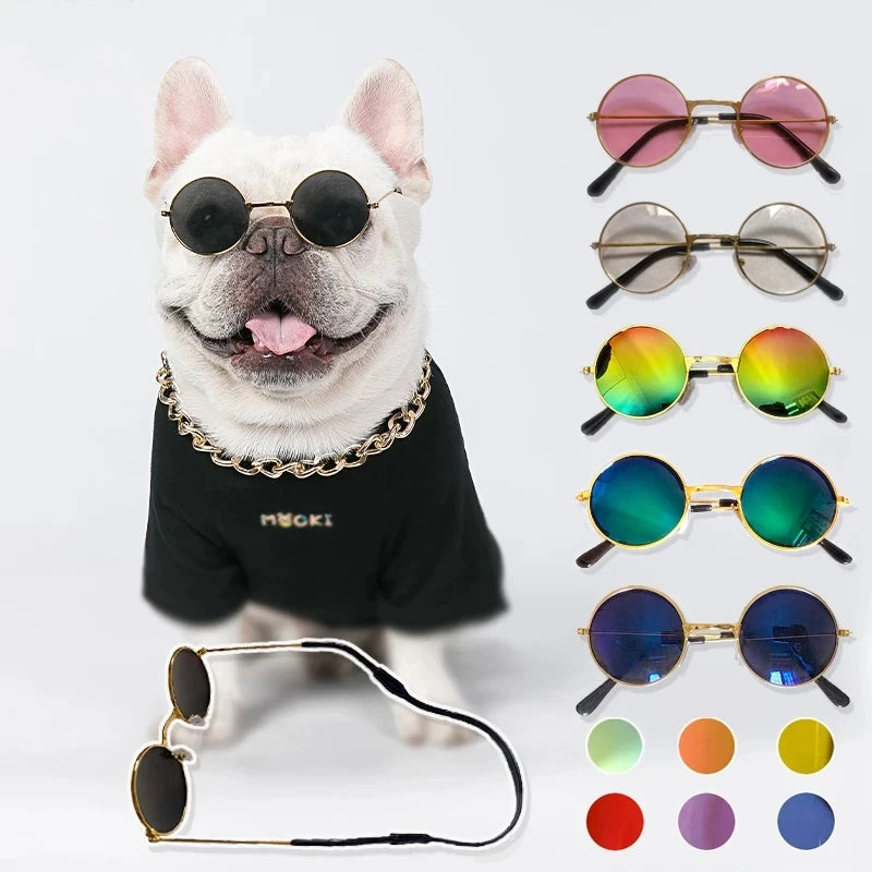 Óculos Vintage para Pets – Acessório Fofo para Fotos
