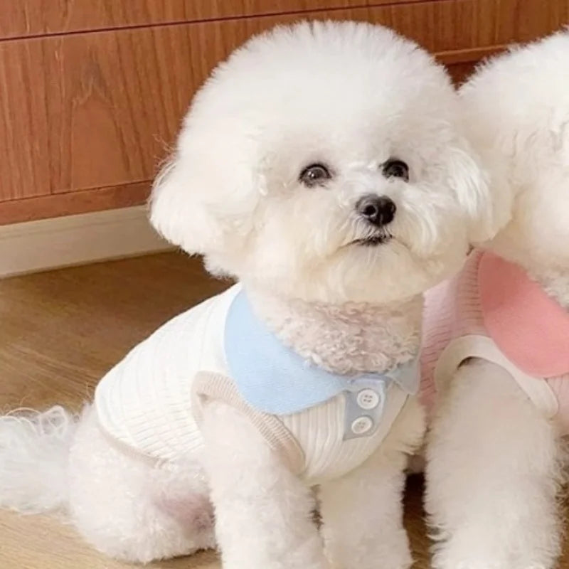 Camiseta Polo de Verão para Pets – Leve, Fashion e Confortável