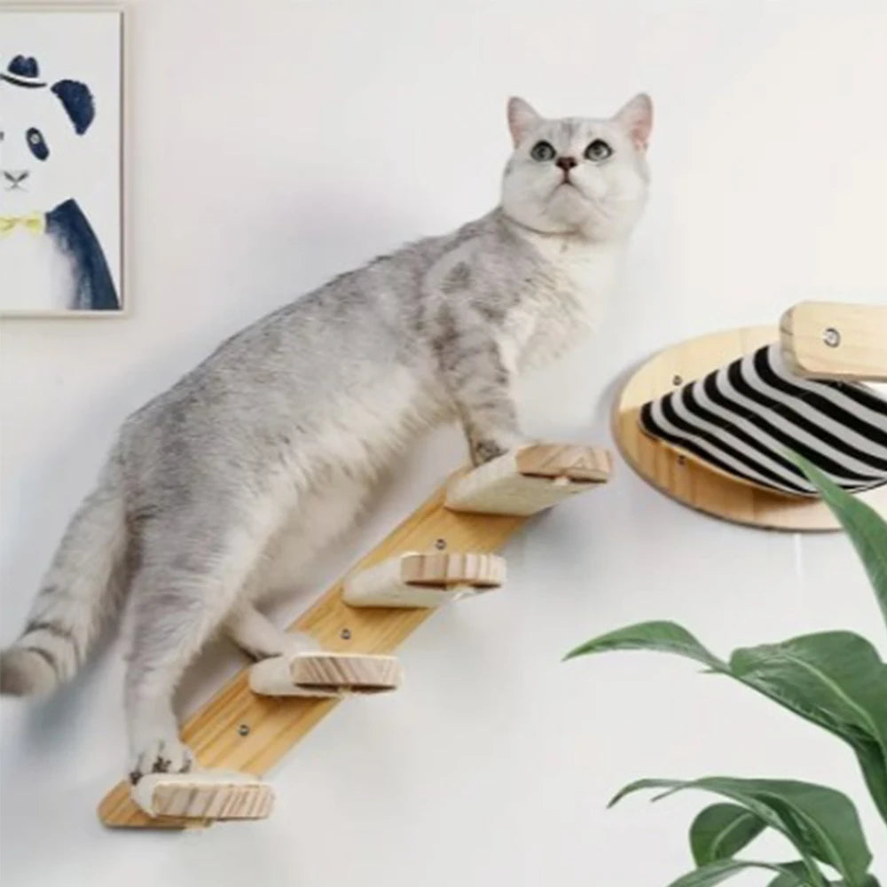 Escada de Parede 50cm para Gatos – Com Rede, Arranhador e Casinha