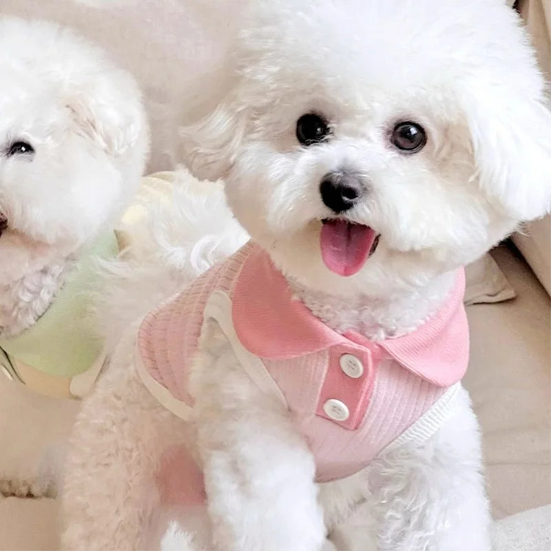 Camiseta Polo de Verão para Pets – Leve, Fashion e Confortável