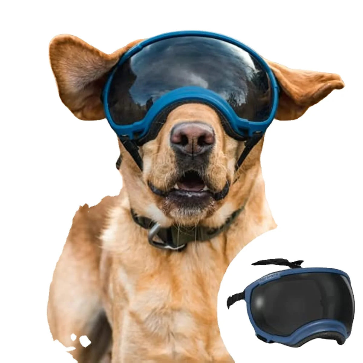 Óculos ATUBAN para Cães – Anti-UV, Resistentes e Ajustáveis