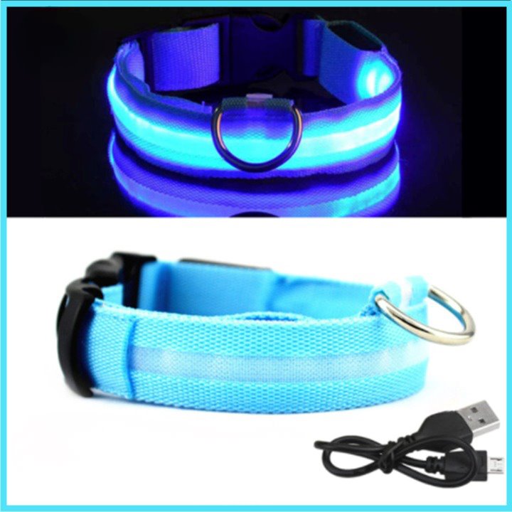 Coleira Fluorescente LumySafe – Máxima Segurança Para Seu Pet!