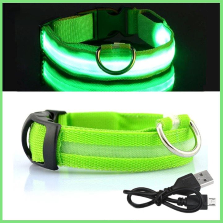 Coleira Fluorescente LumySafe – Máxima Segurança Para Seu Pet!