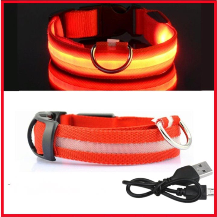 Coleira Fluorescente LumySafe – Máxima Segurança Para Seu Pet!